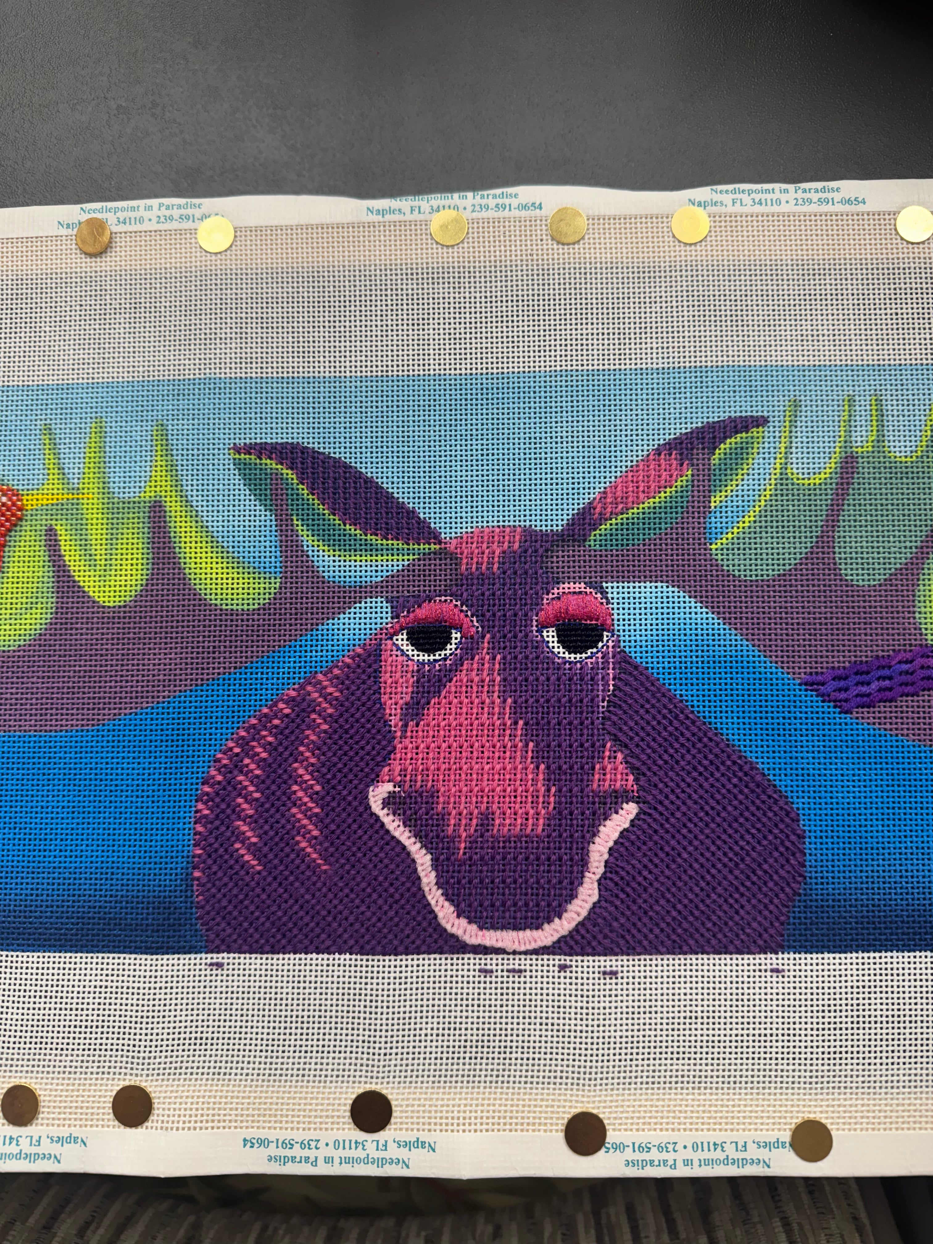 Paula Rae Schmidt Artist in Registry